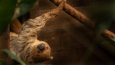 WILDLANDS Adventure Zoo Emmen