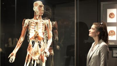 Bodyworlds Entree