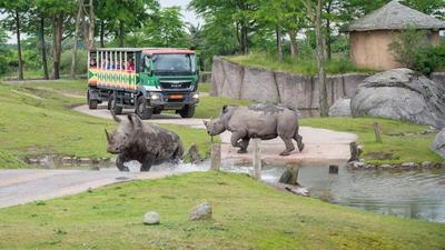 WILDLANDS Adventure Zoo Emmen