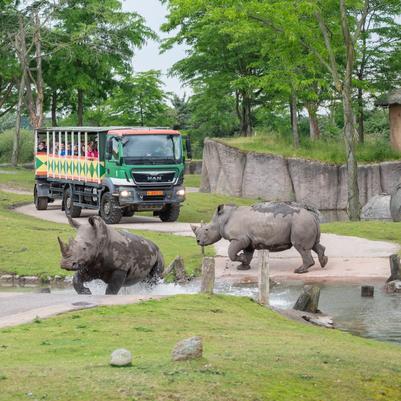 WILDLANDS Adventure Zoo Emmen